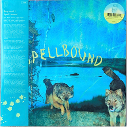 Boyscott Spellbound Vinyl LP USED