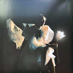 Telenova (2) Time Is A Flower Vinyl LP USED