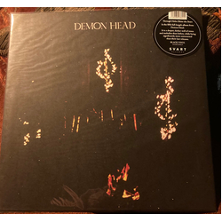 Demon Head Through The Holes Shine The Stars Vinyl LP USED