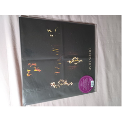 Demon Head Through The Holes Shine The Stars Vinyl LP USED