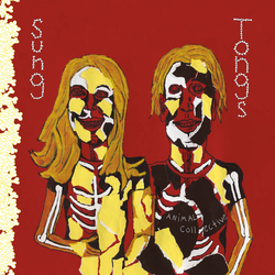 Animal Collective Sung Tongs Vinyl 2 LP USED