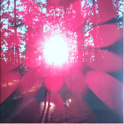 Russian Circles Empros Vinyl LP USED