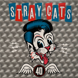 Stray Cats 40 Vinyl LP USED