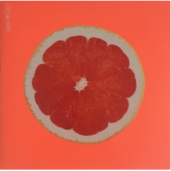 Saves The Day Saves The Day Vinyl LP USED