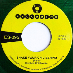 Stephen Colebrooke Shake Your Chic Behind Vinyl 7" USED