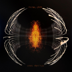 Pearl Jam Dark Matter Vinyl LP USED