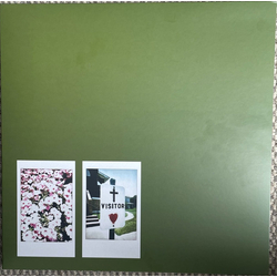 John Moreland Visitor Vinyl LP USED