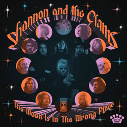 Shannon And The Clams The Moon Is In The Wrong Place Vinyl LP USED