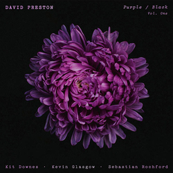 David Preston Purple / Black Vol. One Vinyl LP USED