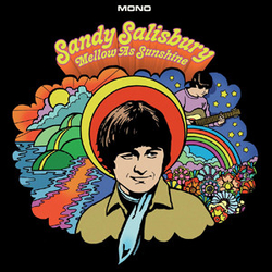 Sandy Salisbury Mellow As Sunshine Vinyl LP USED