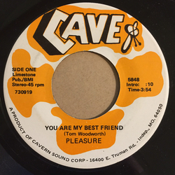 Pleasure (22) You Are My Best Friend / How Do I Begin Vinyl 7" USED