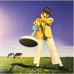 Declan McKenna What Happened to the Beach? Vinyl LP USED