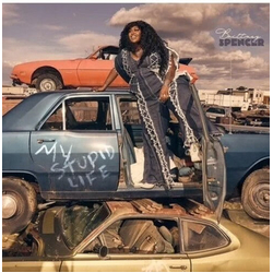 Brittney Spencer My Stupid Life Vinyl LP USED