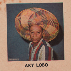 Ary Lobo Ary Lobo 1958 - 1966 Vinyl LP USED