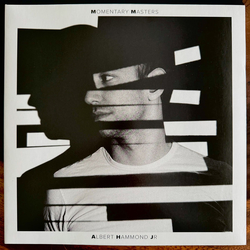 Albert Hammond Jr. Momentary Masters Vinyl LP USED