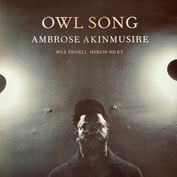 Ambrose Akinmusire Owl Song Vinyl LP USED