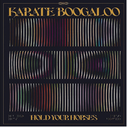 Karate Boogaloo Hold Your Horses Vinyl LP USED