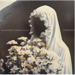 Tejon Street Corner Thieves Juxtaposition Vinyl LP USED