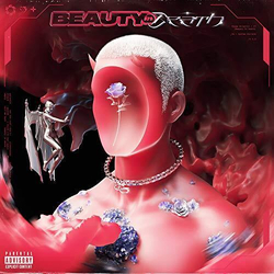Chase Atlantic Beauty In Death Vinyl LP USED