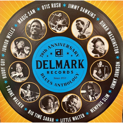 Various Delmark Records 70th Anniversary Blues Anthology Vinyl LP USED