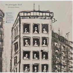 The Pineapple Thief 10 Stories Down Vinyl LP USED