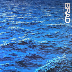 Brad In The Moment That You're Born Vinyl LP USED
