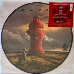 Rush Signals Vinyl LP USED