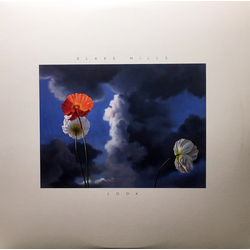 Blake Mills Look Vinyl LP USED