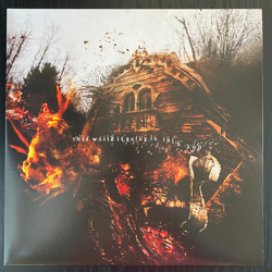 Vein (14) This World Is Going To Ruin You Vinyl LP USED