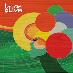 Brian Olive Brian Olive Vinyl LP USED