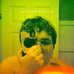 Alien Boy (4) Don't Know What I Am Vinyl LP USED