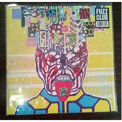King Gizzard And The Lizard Wizard Teenage Gizzard Vinyl LP USED