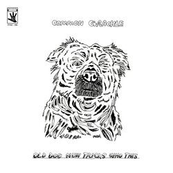 Common Grackle Old Dog New Tricks Who This Vinyl LP USED