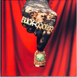 Buck Gooter Head In A Bird Cage Vinyl LP USED