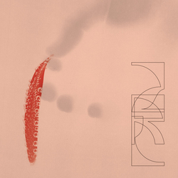ZRL Our Savings Vinyl LP USED