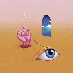 Wavves Hideaway Vinyl LP USED