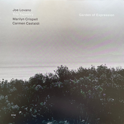 Joe Lovano / Trio Tapestry / Marilyn Crispell / Carmen Castaldi Garden Of Expression Vinyl LP USED