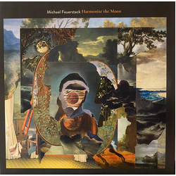 Michael Feuerstack Harmonize The Moon Vinyl LP USED