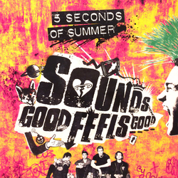 5 Seconds Of Summer Sounds Good Feels Good Vinyl LP USED