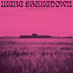 Ikebe Shakedown Kings Left Behind Vinyl LP USED