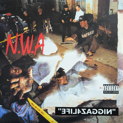 N.W.A. Efil4zaggin Vinyl LP USED