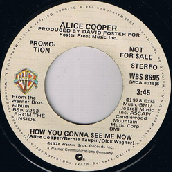 Alice Cooper How You Gonna See Me Now Vinyl 7" USED