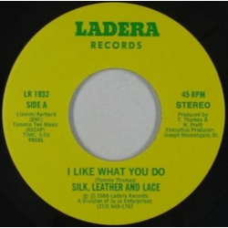 Silk, Leather And Lace I Like What You Do Vinyl 7" USED