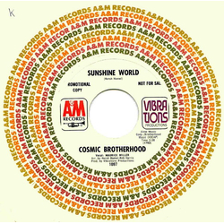 Cosmic Brotherhood Sunshine World Vinyl 7" USED