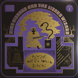 King Gizzard And The Lizard Wizard Flying Microtonal Banana (Explorations Into Microtonal Tuning Volume 1) Vinyl LP USED