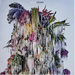 Wilco Cousin Vinyl LP USED