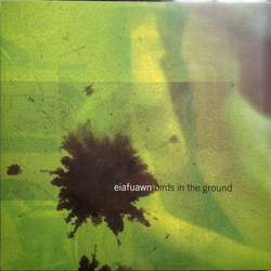 Eiafuawn Birds In The Ground Vinyl LP USED