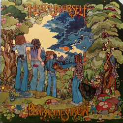 Help Yourself Beware The Shadow Vinyl LP USED