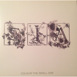 Sia Colour The Small One Vinyl LP USED