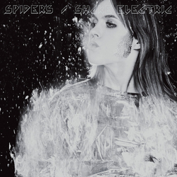 Spiders (7) Shake Electric Multi Vinyl LP/Vinyl 7" USED